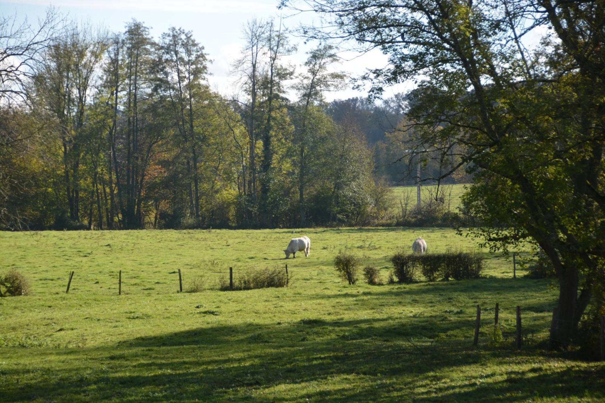 Mézilles Le Moulin Grenon B&B 외부 사진